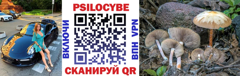 купить наркоту  нарко площадка официальный сайт  Галлюциногенные грибы Cubensis  Кологрив 